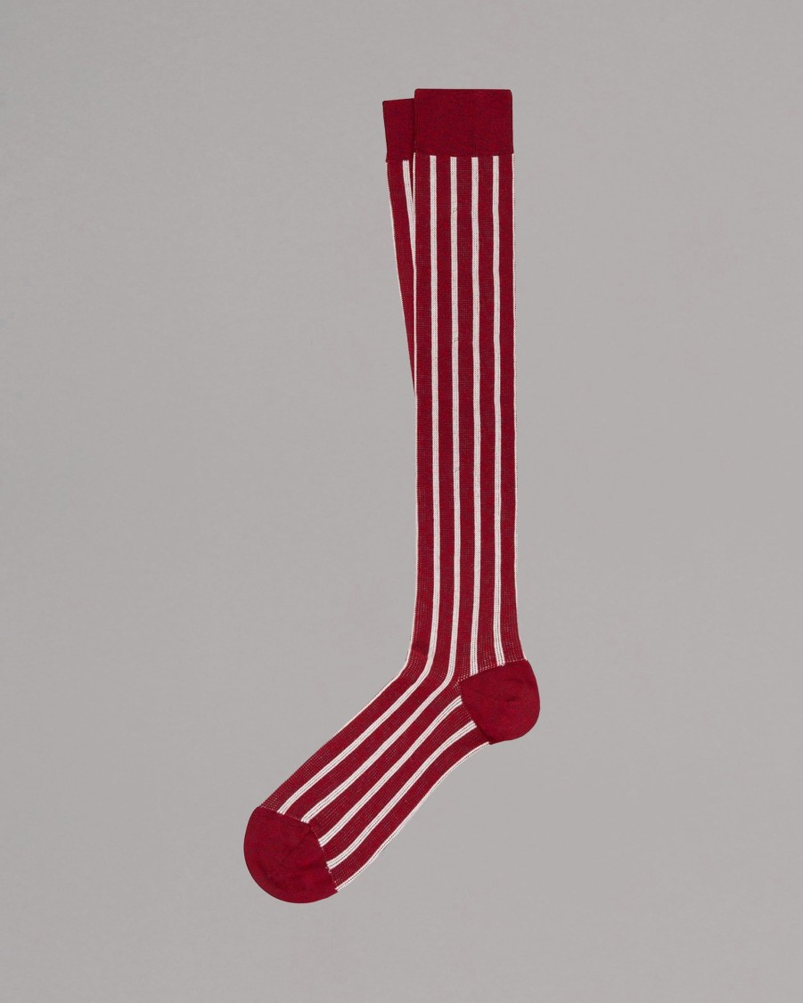 ANT45 Socks | Zannone Long Socks