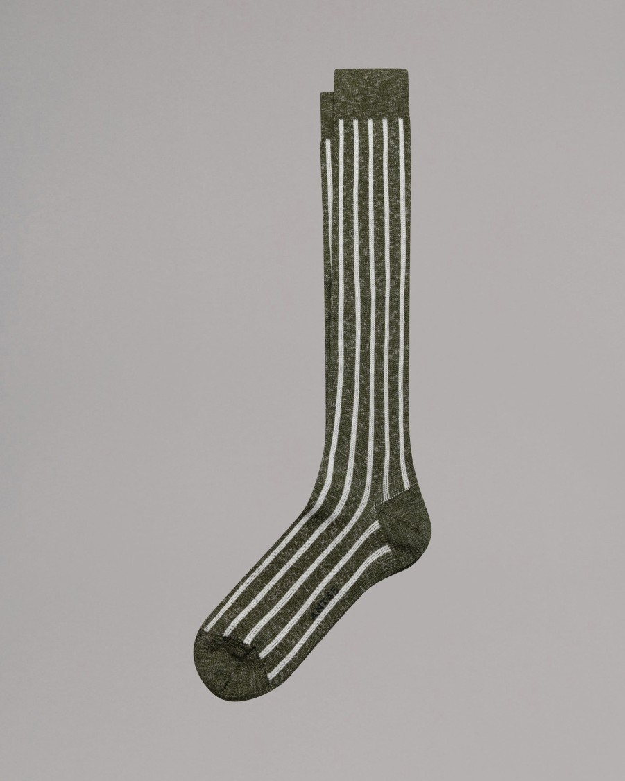 ANT45 Socks | Zannone Long Socks